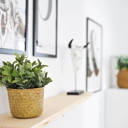 Apartamento El De Nueva *